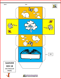 3d shape nets summer themed box net 1b