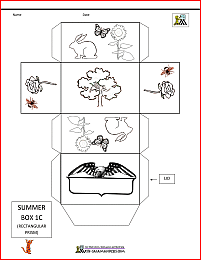3d shape nets summer themed box net 1c