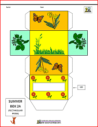 3d shape nets summer themed box net 2a