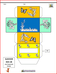 3d shape nets summer themed box net 2b
