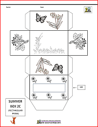 3d shape nets summer themed box net 2c
