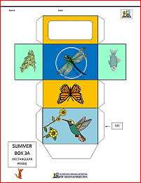 3d shape nets summer themed box net 3a