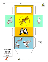 3d shape nets summer themed box net 3b