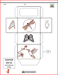 3d shape nets summer themed box net 3c