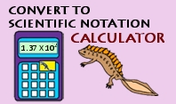 Convert to Scientific Notation Calculator image