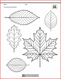 fall craft activities leaves collection 1a