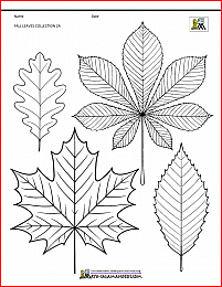 fall craft activities leaves collection 2a