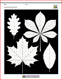 fall craft activities leaves collection 2b