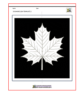 fall leaf suncatcher instructions 1