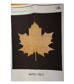 fall leaf suncatcher instructions 3