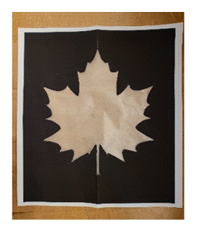 fall leaf suncatcher instructions 4