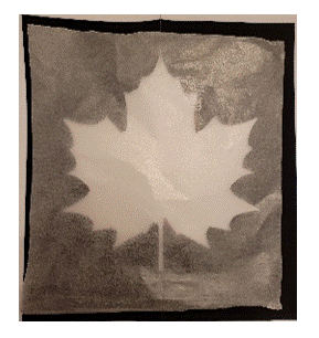 fall leaf suncatcher instructions 5