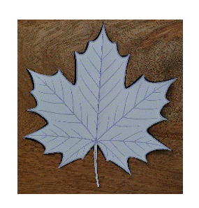 fall leaf suncatcher instructions 7