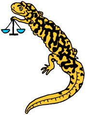 Math Conversion Chart Tyger Measures Salamander