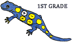 Math Salamanders Math Addition Worksheets Picture
