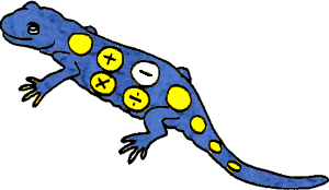 Free Math Flashcards Subtraction Salamander Picture