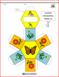 summer math activities hexagonal prism net 1a