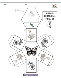 summer math activities hexagonal prism net 1c