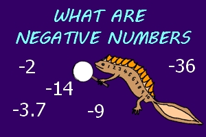 what are negative numbers image