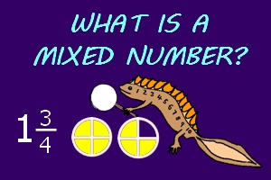 what is a mixed number image